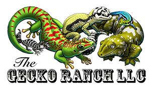 The Gecko Ranch